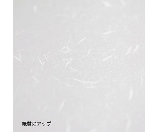 大直礼状紙　A4用洋長3封筒　50枚入　205003010 1セット(50枚入)