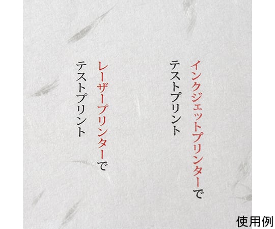 大直礼状紙　A4用洋長3封筒　50枚入　205003010 1セット(50枚入)