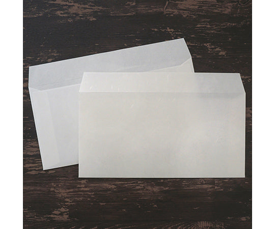 大直礼状紙　A4用洋長3封筒　50枚入　205003010 1セット(50枚入)