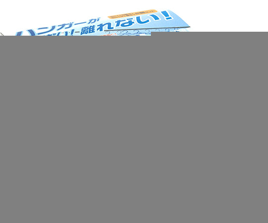 옷걸이가 별로 없는 2개 세트 KS-2637 2개입