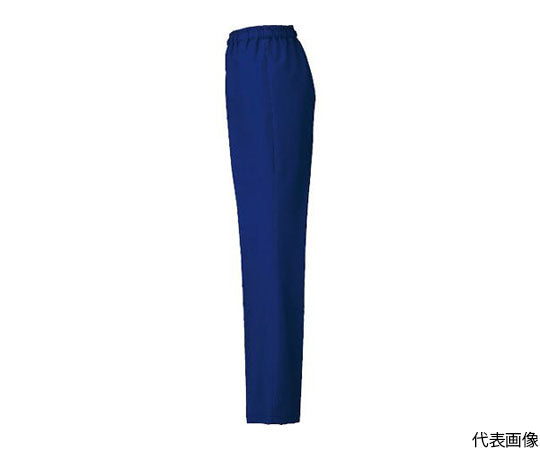 Pants (unisex) Blue 6L 861402-006-6L 1 unit