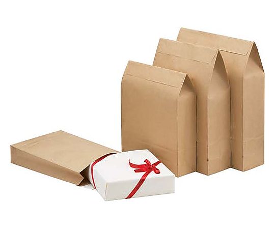 Delivery bag 120g A4 50 sheets 4154-5461 1 pack (50 sheets)