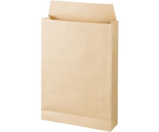Delivery bag 120g A4 50 sheets 4154-5461 1 pack (50 sheets)