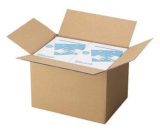 無地ダンボール No.3-3（底面A3）10枚　5063-1742 1パック(10枚入)