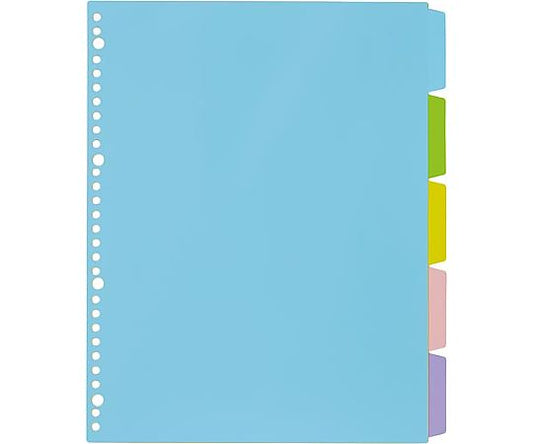 PP제 컬러 칸막이 카드 A4 세로 30홀 5산 4269-5356 1조