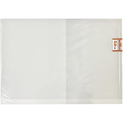 Hikari Recycled Pet Sheet White 300 x 450 x 0.6 mm RPT4036-2 1 sheet