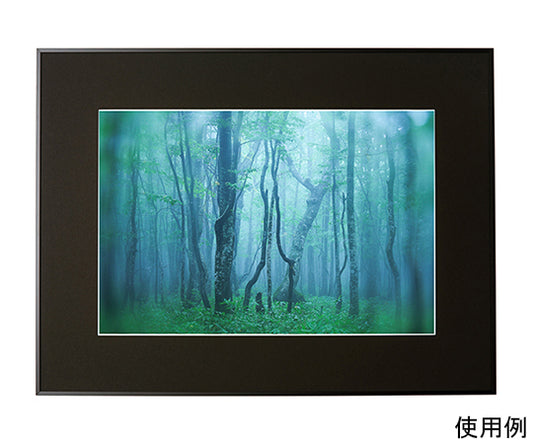 アルミ額縁　ギャラリー　A3ノビ　ブラック　ACY-A3N-BK 1箱