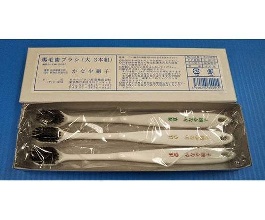 Toothbrush Horsehair Large 1 box (3 pieces) 1 box (3 pieces)