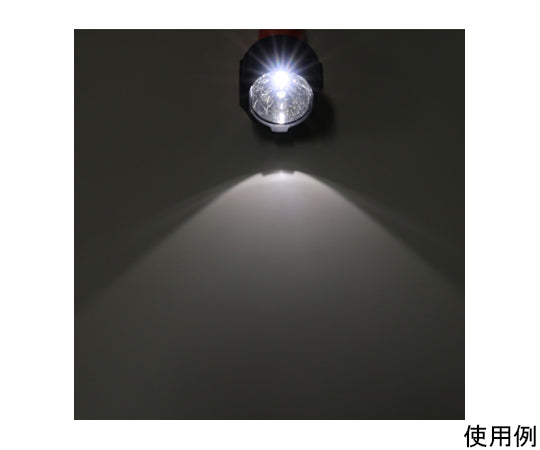 [単3x2本] フラッシュライト/LED(防爆構造)　EA758E-2A 1本