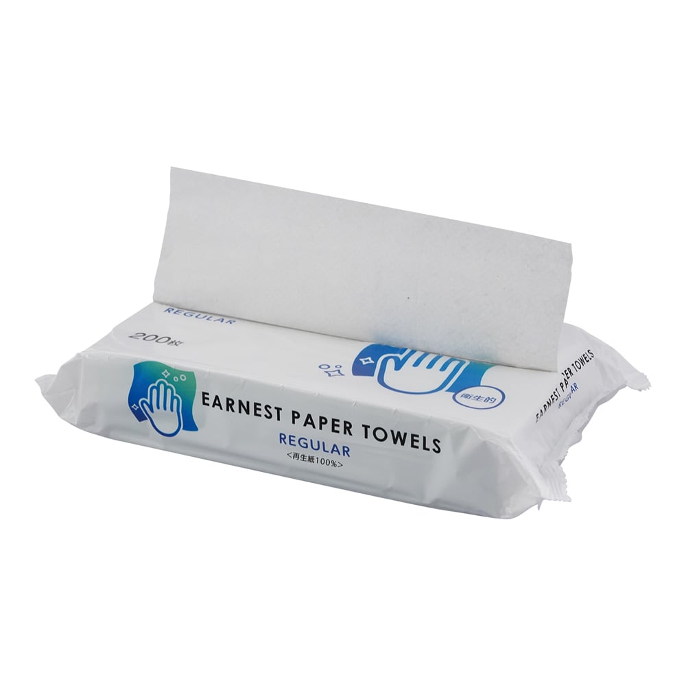 Ernest Paper Towel R 200 sheets 1 pack (200 sheets)