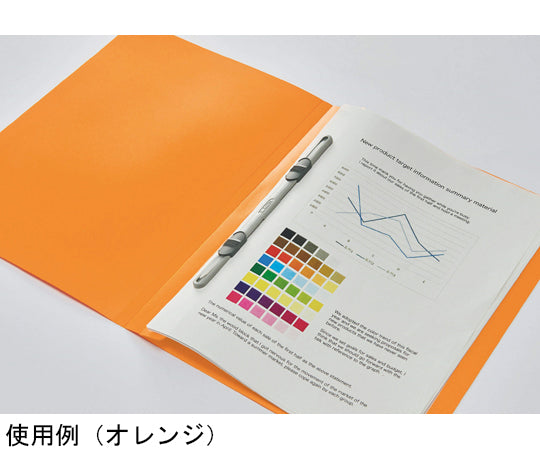 PP 플랫 파일 미나노 레드 F-51M 1권