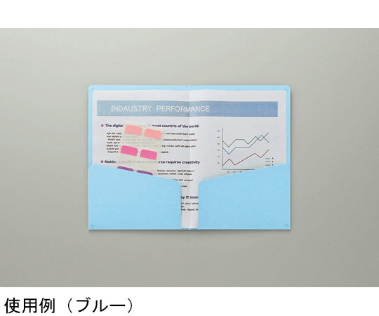 カラーPホルダー　カラーポケットホルダー（紙製）　PH-52C(G) 1冊