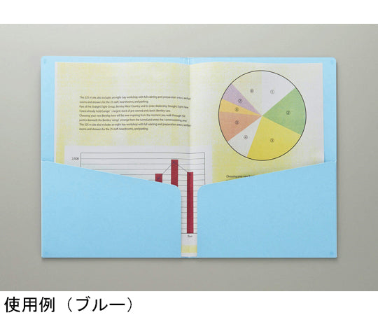 カラーPホルダー　カラーポケットホルダー（紙製）　PH-54C(W) 1冊