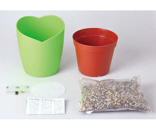 みつかる四葉クローバー栽培セット　GD-592 1個