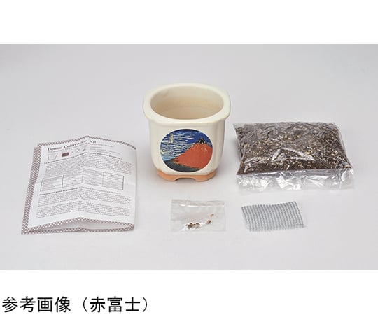 JAPANESE　BONSAI　波富士　GD-64003 1個