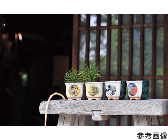 JAPANESE　BONSAI　波富士　GD-64003 1個