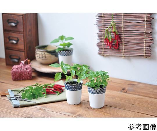 Small patterned condiment bowl Mitsuba GD-75803 1 piece