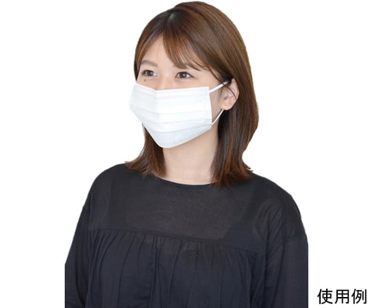Daily Mask (Ear-Hook Type) 3-Ply (50 Pieces) DPM-DM95 1 Box (50 Pieces)