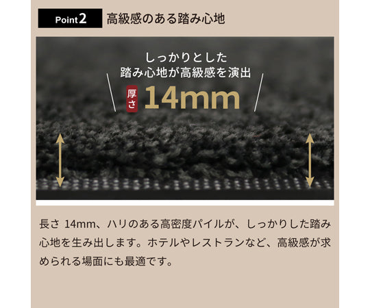 흡수·흡유 하이스펙 현관 매트 에코·업소브 60×90 cm CR00004 1장