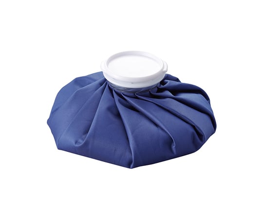 아이스백 아이스노우 1100mL 375704 1개