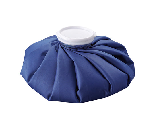 아이스백 아이스노우 1900mL 375705 1개