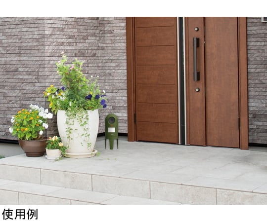 Cat Shishi REP-600 1 unit