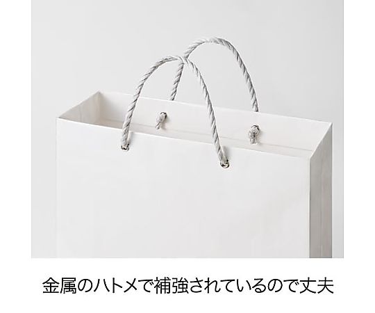 ビニールカバー手提げ紙袋 白 小 10枚　3197-4592 1パック(10枚入)