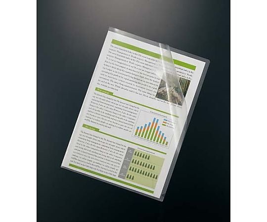 클리어 홀더 스탠다드 A4 100장 4112-2068 1팩(100장입)