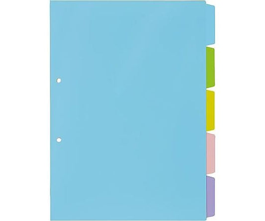 PP제 컬러 칸막이 카드 A4 세로 2홀 5산 4269-5318 1조