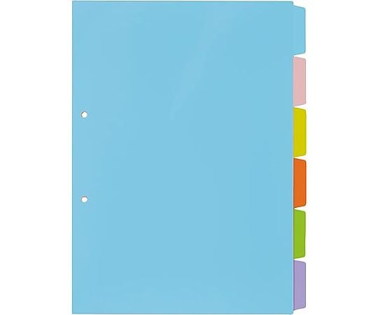 PP color divider card A4 vertical 2 holes 6 stacks 4269-5325 1 set