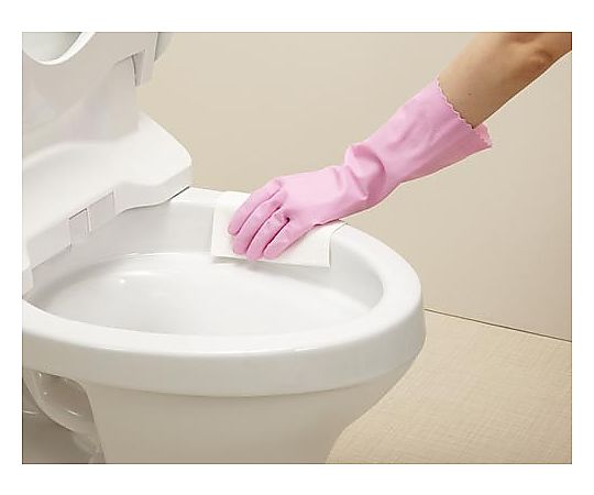 流せるトイレクリーナードライシート30枚入り　48587815 1パック(30枚入)