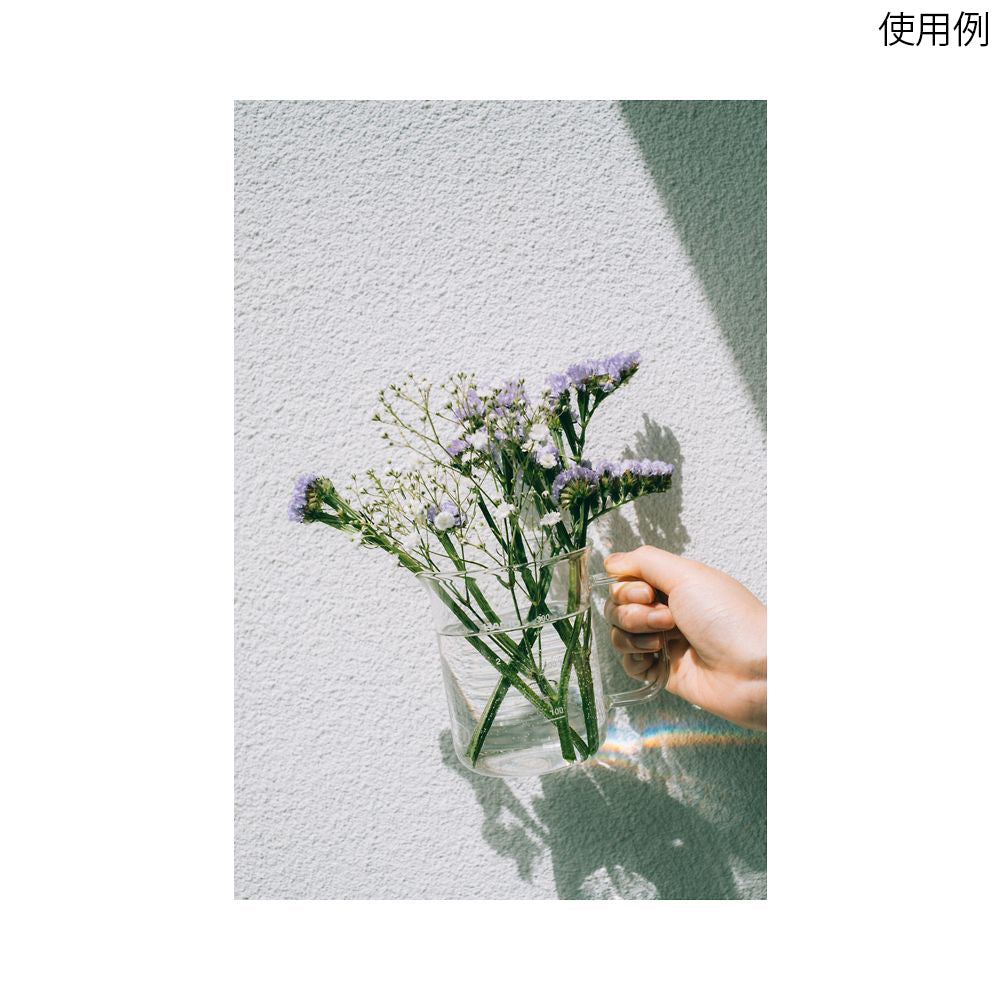 비커 서버 300mL BV-300 1개