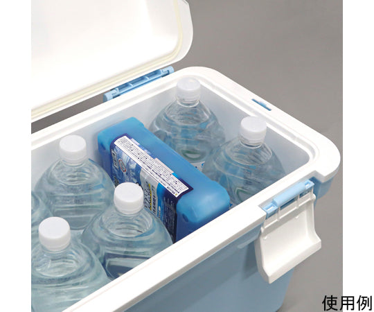 Ice pack Icerocks 1100 IR1100 1 piece