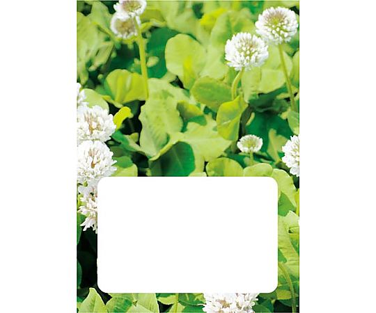 お薬手帳 クローバー 40P 50冊　59353 1パック(50冊入)