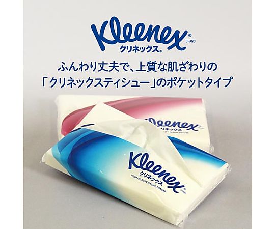 크리넥스티 슈 포켓 15개입 47360 1팩(15개입)