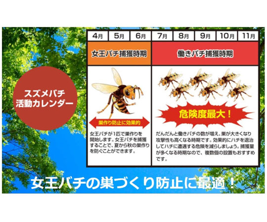 シマダ　業務用スズメバチ捕獲器　2個入 1箱(2個入)
