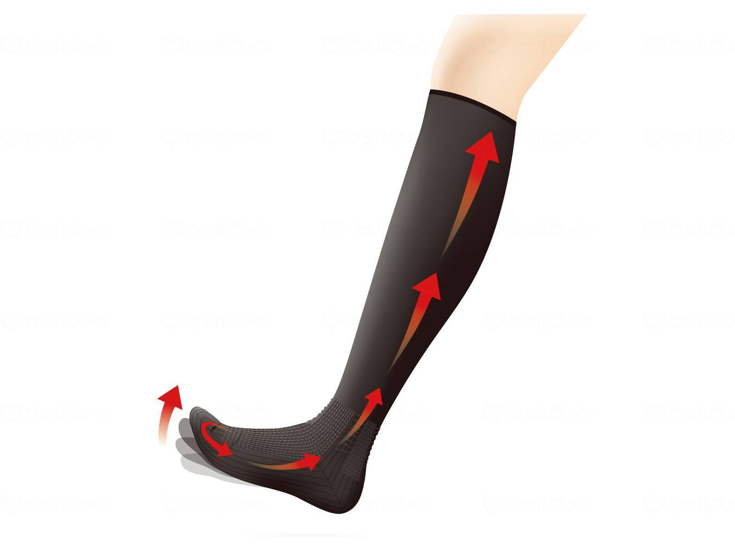 코퍼레이션 펄 스타 붓기 대책 양말 블랙 27-28cm