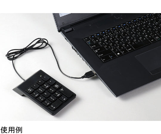USB接続テンキー　91688 1個