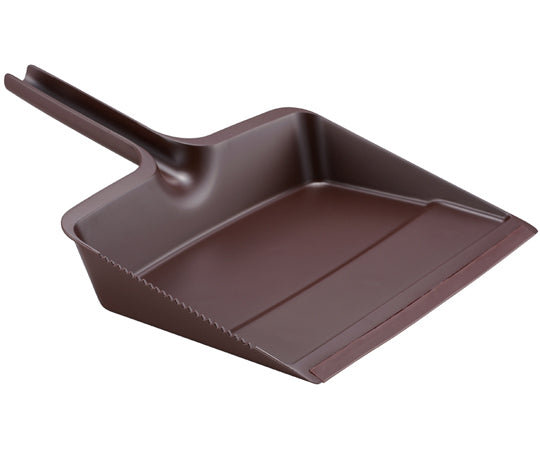 사트 칠레 트리 1개