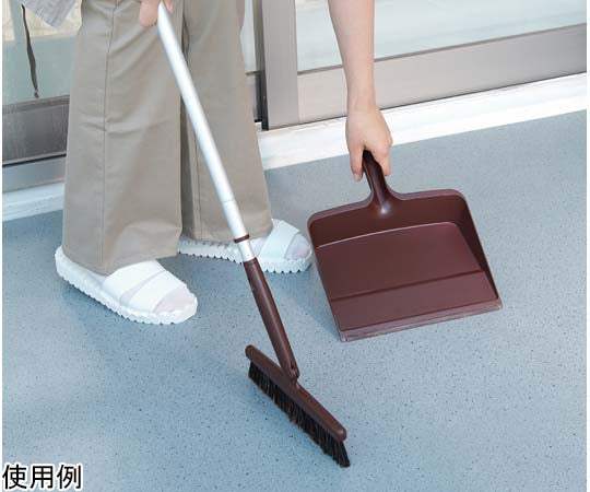 사트 칠레 트리 1개