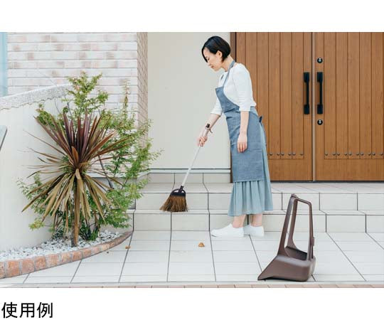 Daily Clean アーバンチリトリ 1個