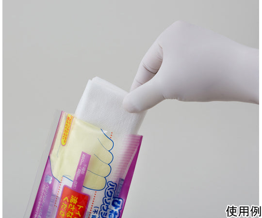 비틀어 함침 하쿠조우디아 팩 1000 부직포 타입 5장×10 세트입 3162201 1상자(10 세트×5장입)