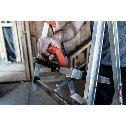 하세가와 리틀 자이언트 플립 엔 라이트