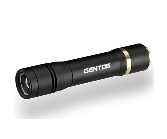 REXEEDシリーズ LEDフラッシュライト USB充電式 900ルーメン　RX-386R 1個