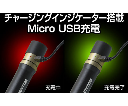 REXEEDシリーズ LEDフラッシュライト USB充電式 900ルーメン　RX-386R 1個