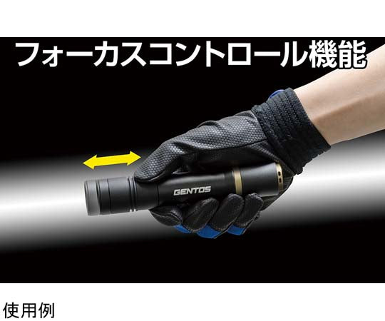 REXEEDシリーズ LEDフラッシュライト USB充電式 900ルーメン　RX-386R 1個