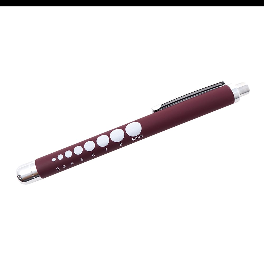 경량 화이트 LED 펜 라이트 버건디 SM-311BD 1개