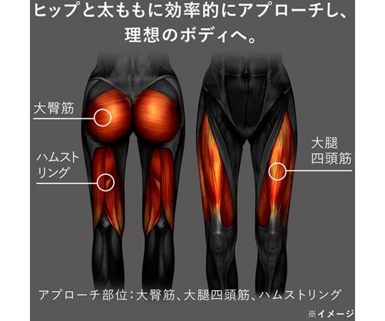 SIXPAD Powersuit Hip&amp;Leg WOMEN LL사이즈 【본체만】 ※전용 컨트롤러 별매 SE-AV00D-LL 1개