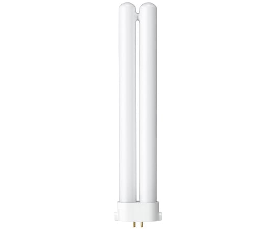 Compact fluorescent lamp, 27W, daylight white, FPL27EXN, 1 piece