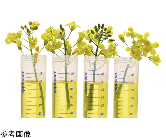 エッペンドルフチューブ BioBased 5.0mL スクリューキャップ Sterile 100本×2袋入　0030122518 1箱(100本×2袋入)